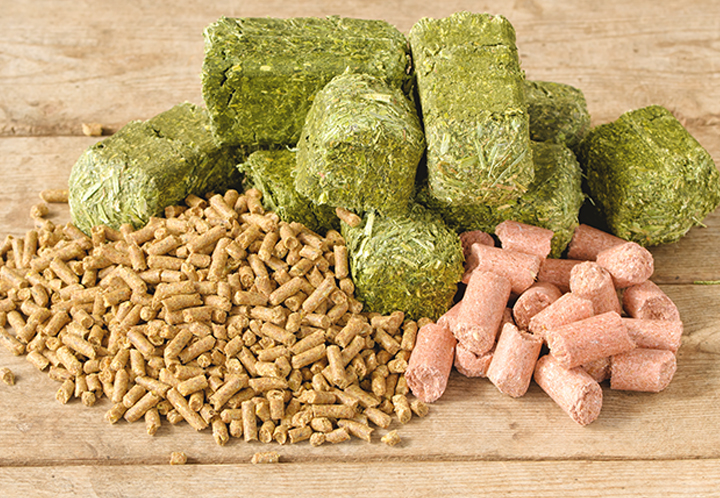 Pile of 3 different types of horse feeds and treats