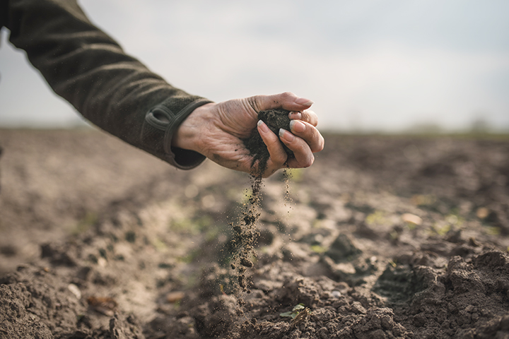 Someone grabbing a handful of dirt from a field