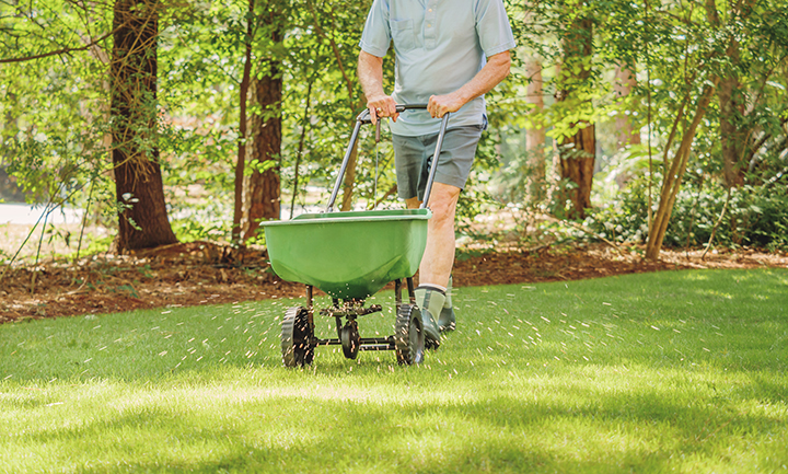 Man walking and pushing a fertilizer spreader in the backyard