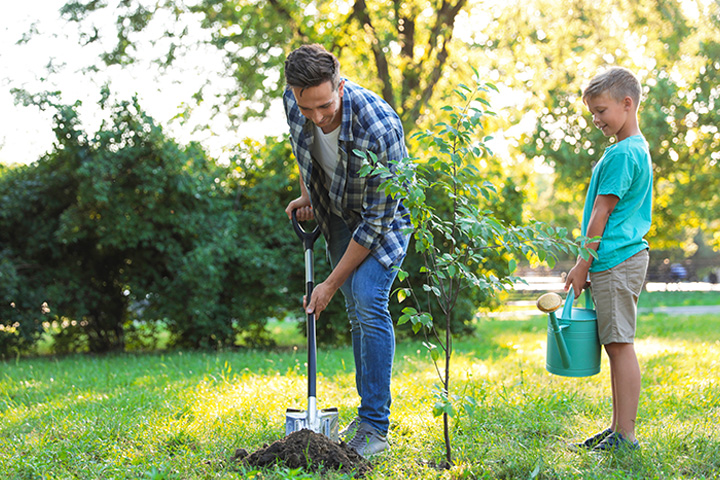 Man and son plating a small tree with shovel and watering can